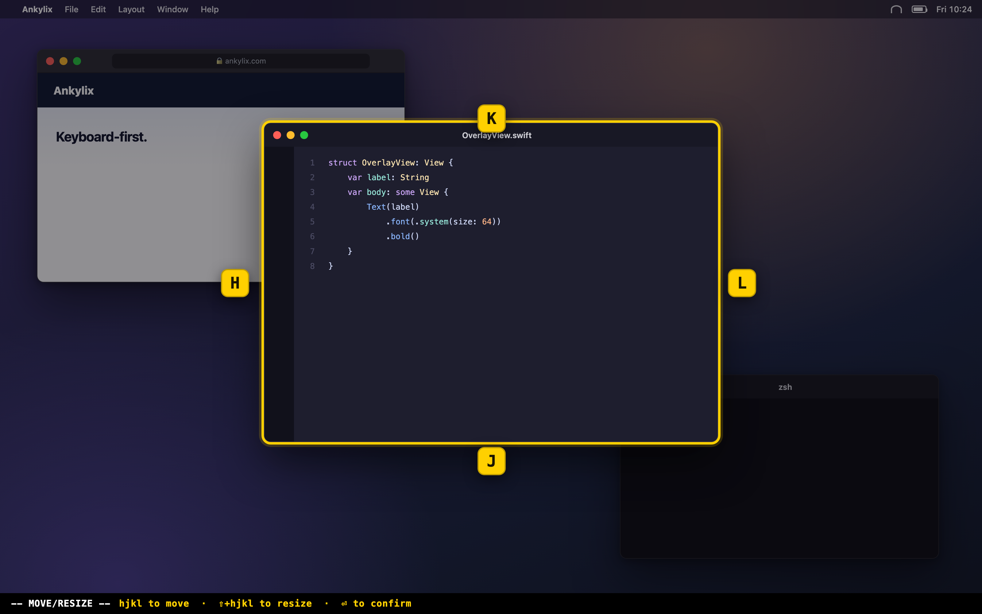 Ankylix move/resize mode: the focused window highlighted with hjkl hints around it